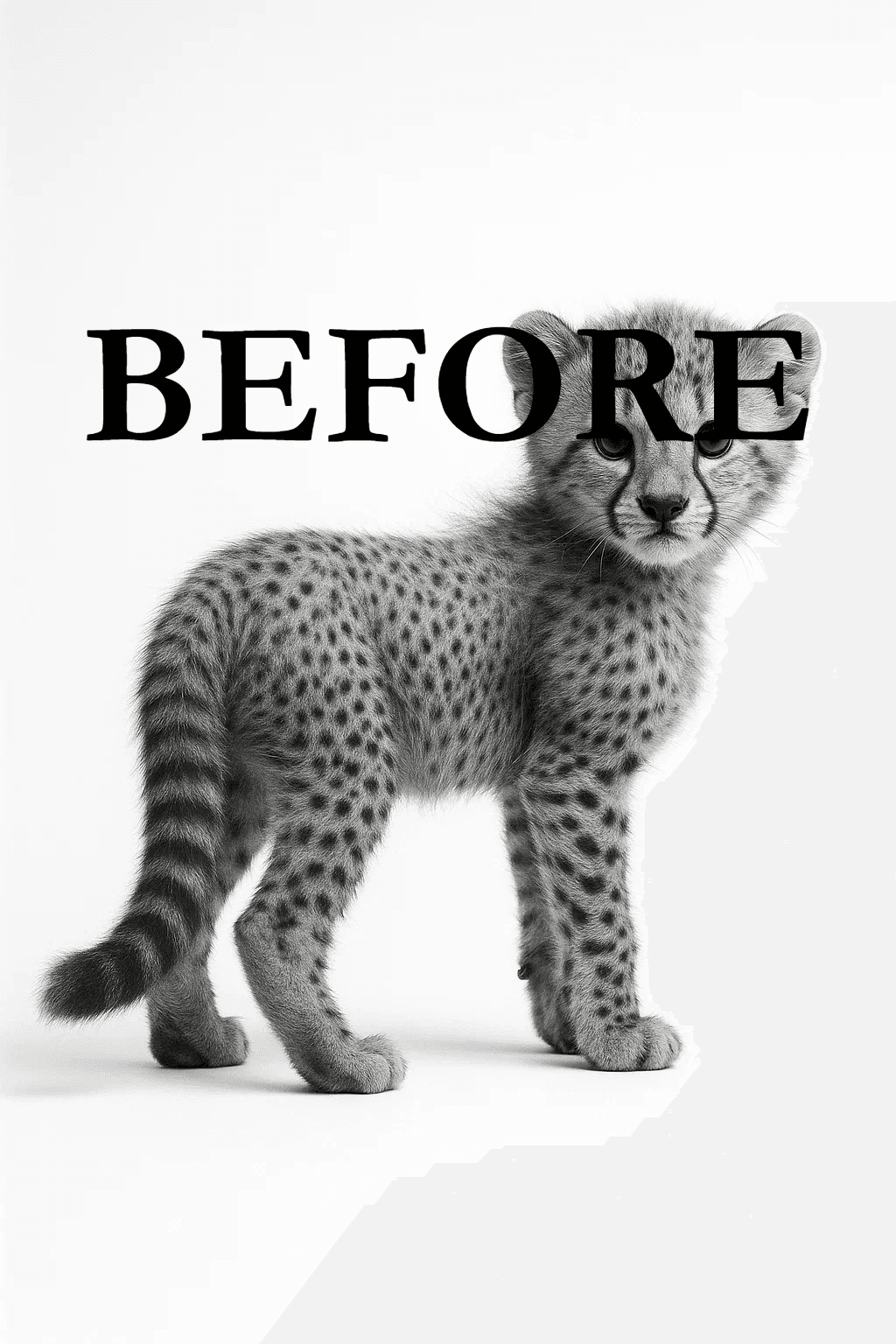 Before - Original image